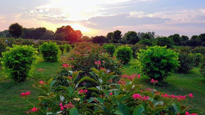 20190924_174358-EFFECTS_copy_720x405