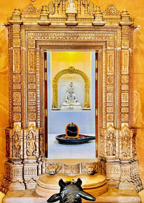 IMG_20250206_153526_copy_475x671