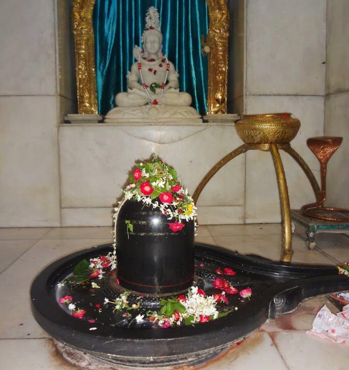 IMG_20250206_153749_copy_720x763