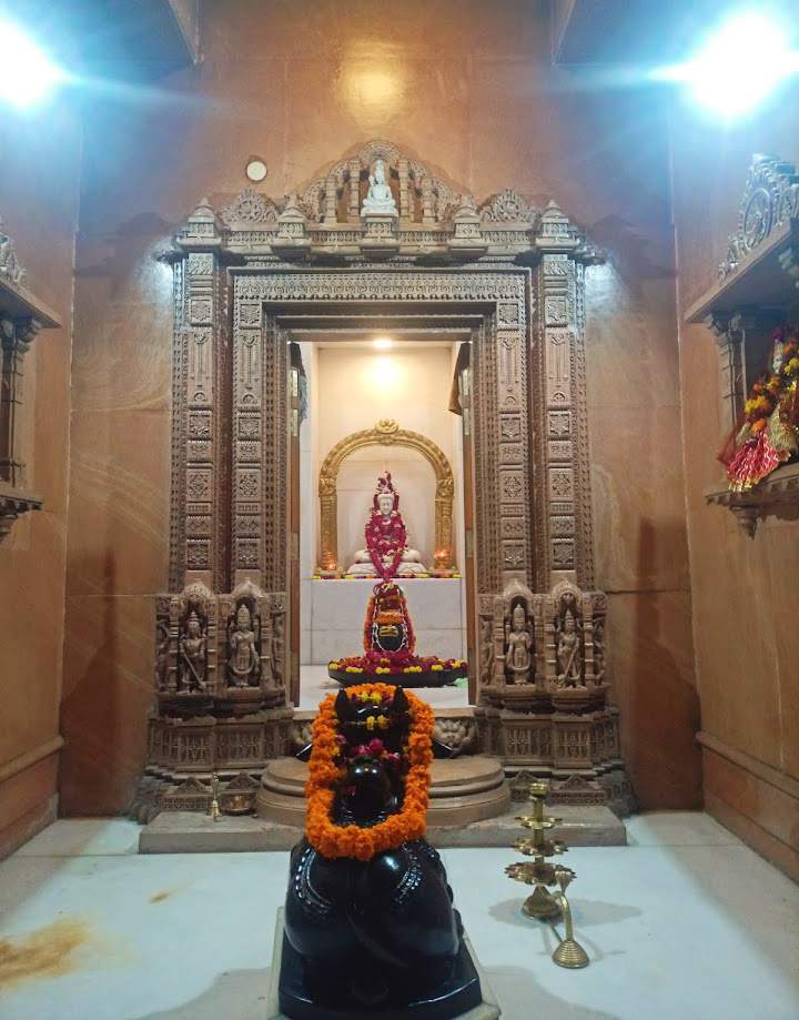 IMG_20250206_153810_copy_720x919