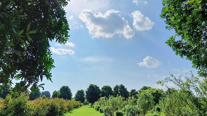 IMG_20250210_213247_copy_720x405