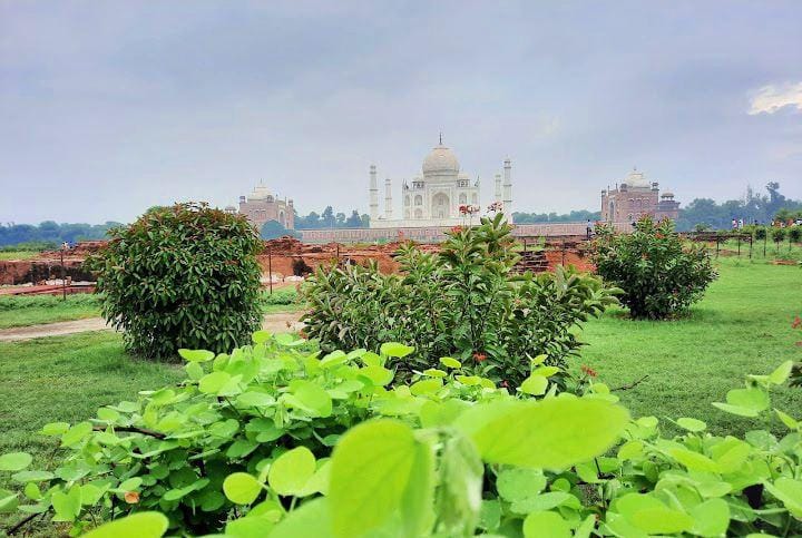 IMG_20250210_213319_copy_720x483