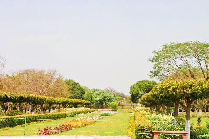 IMG_20250210_213509_copy_720x480