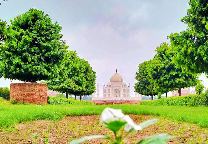 IMG_20250210_213537_copy_720x499