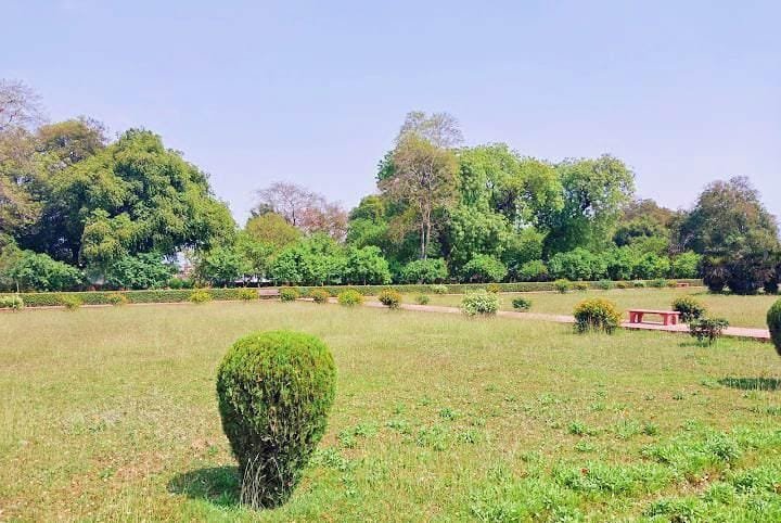 IMG_20250211_163043_copy_720x482