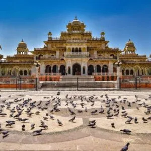 Albert Hall Museum , Jaipur