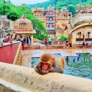 Shri Galta Peeth (Galta Ji Temple) , Jaipur
