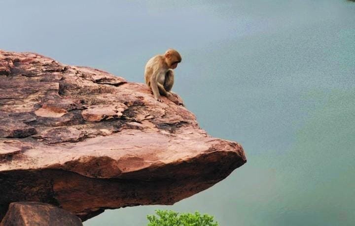 IMG_20250321_153844_copy_720x459