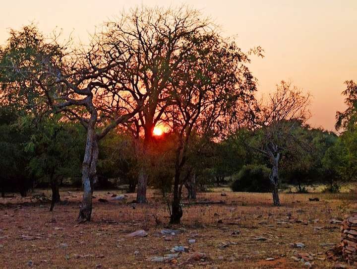 IMG_20250321_154222_copy_720x542