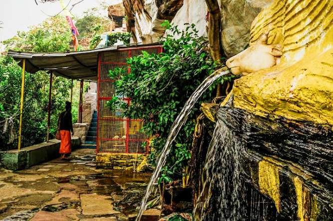 IMG_20250321_154325_copy_667x444