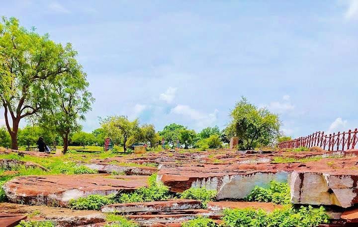 IMG_20250321_154410_copy_720x457