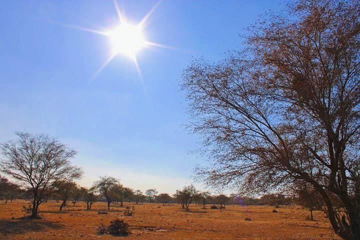 IMG_20250321_154424_copy_720x480