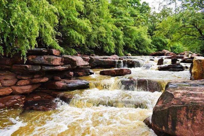 IMG_20250321_154522_copy_688x459