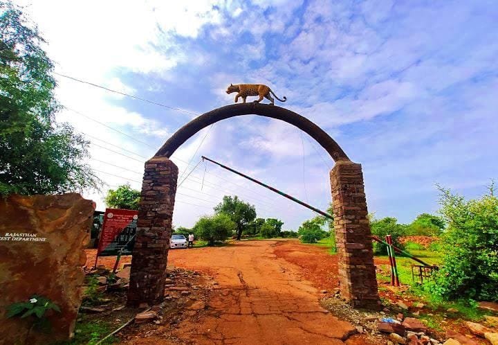 IMG_20250321_154555_copy_720x498