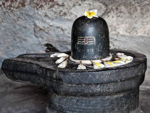 images(6)_copy_614x460