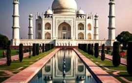 IMG-20250109-WA0022_copy_351x351